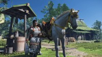 《对马岛之魂》PC版9.0分:战鬼犹在,历久弥新